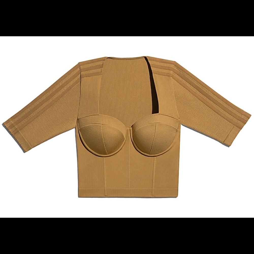 Ivy park circular crop top